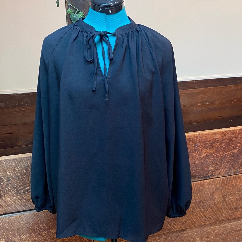 Ann Taylor Witchy Gothic Oversized Blouse w/ Romantic Gathered Pirate Sleeves